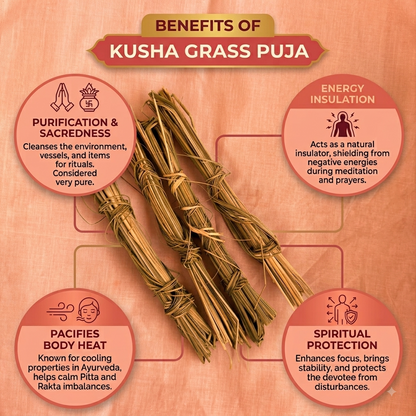 Kusha Grass Bundles 4 Bundle Puja Pooja Dharba Dub